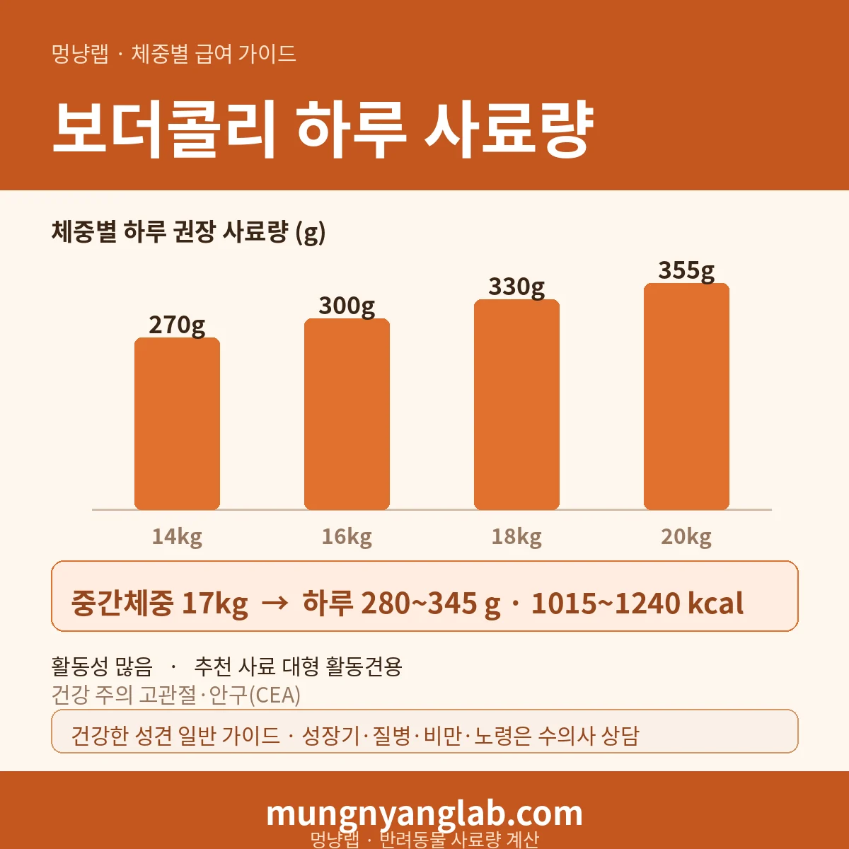 보더콜리 체중별 하루 사료량 차트 — 표준 14~20kg 기준 하루 약 280~345g, 1015~1240kcal (건강한 성견 기준)